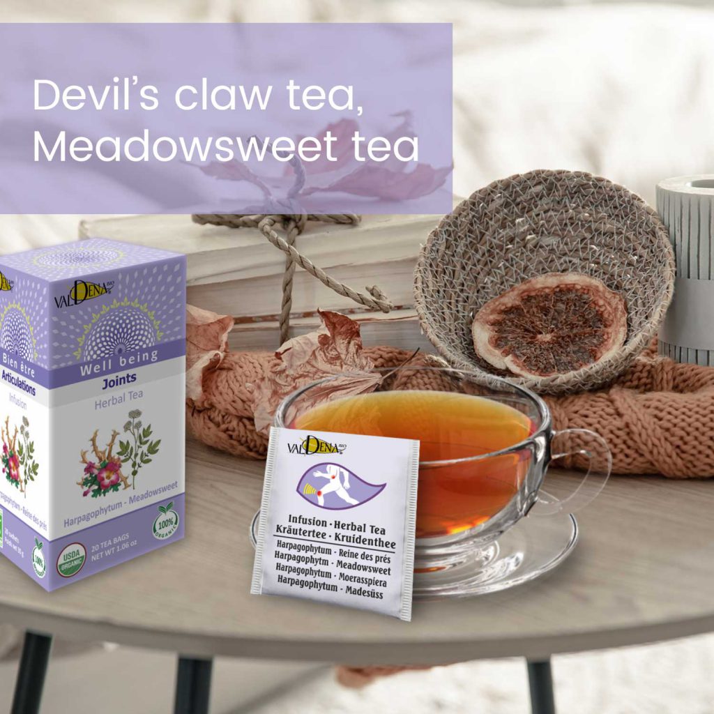 Devil’s Claw Tea