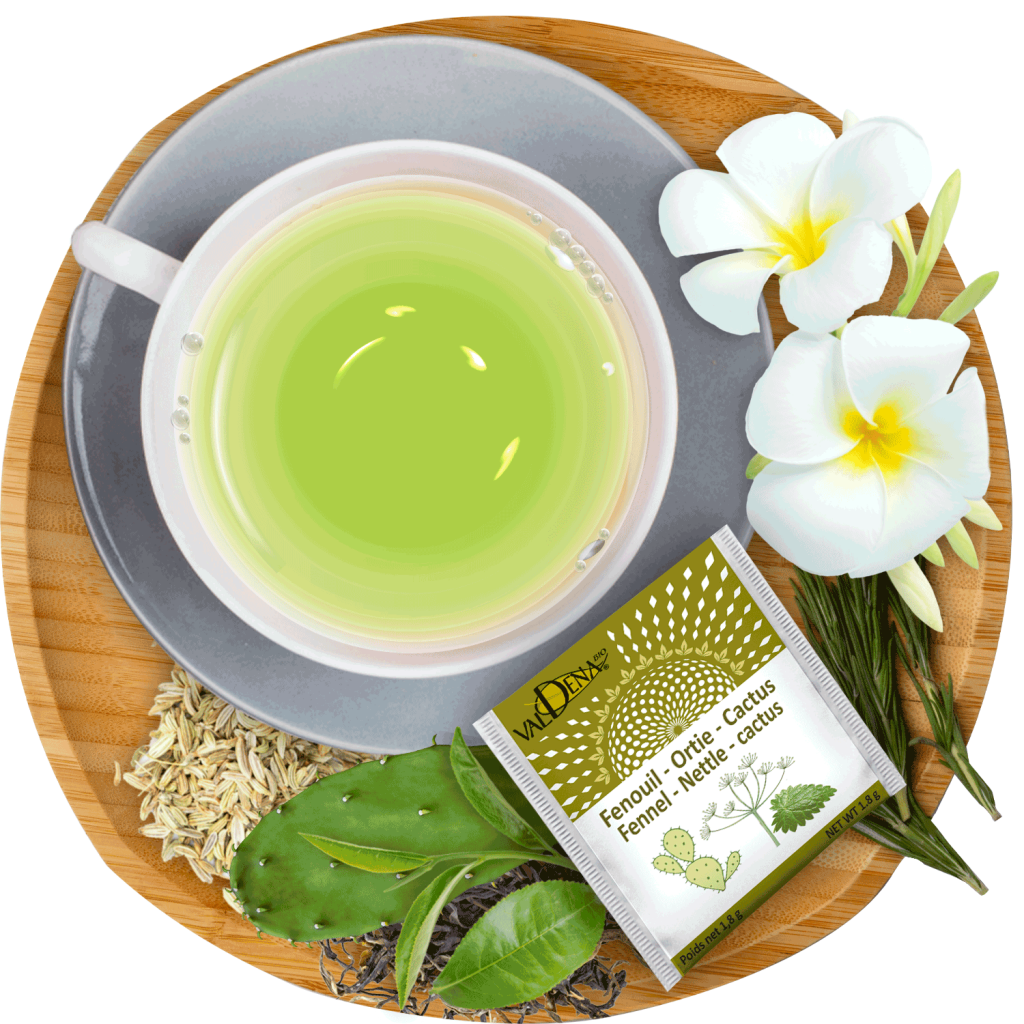 Organic stinging Nettle & Fennel tea with healthy detox benefits - Liber-Tea