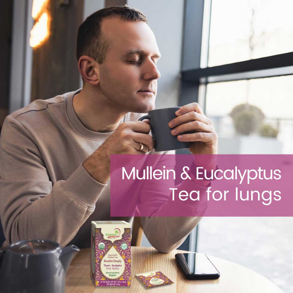 Mullein leaf tea and Eucalyptus Tea for lungs