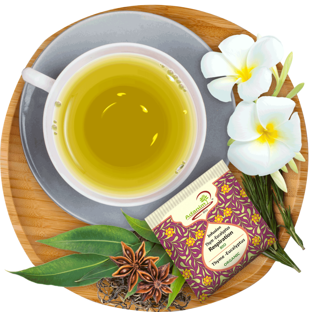 Eucalyptus and mullein herbal tea