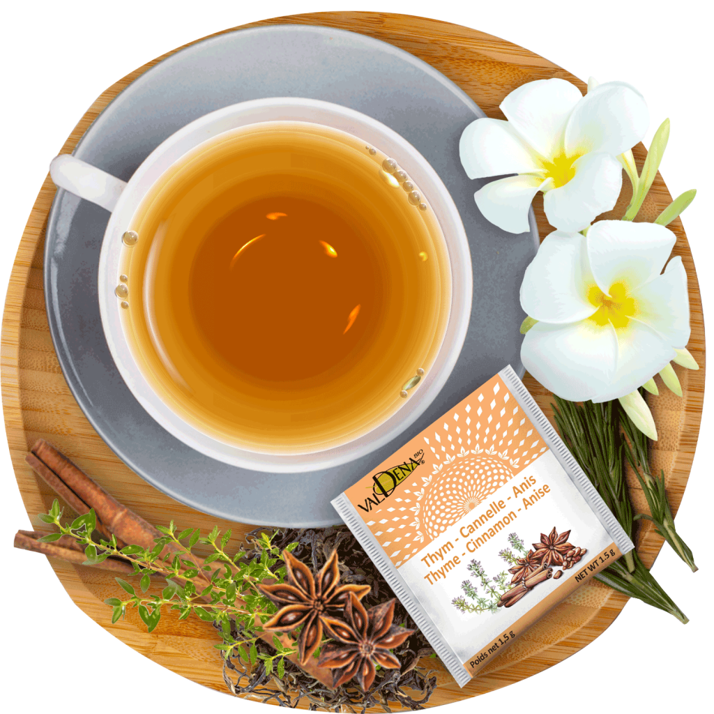 Cinnamon Anise Organic Herbal Tea