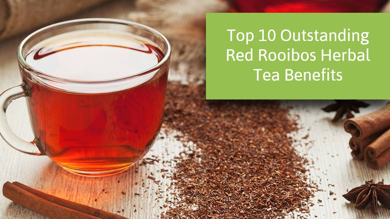red rooibos tea benefits